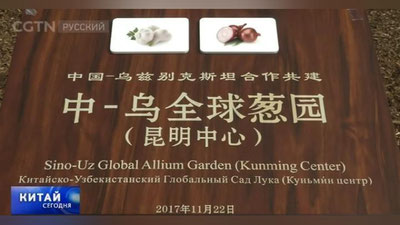 Изрображение 'УЗБЕКИСТАН И КИТАЙ СОЗДАДУТ САД ПО ИЗУЧЕНИЮ РЕПЧАТОГО ЛУКА (ВИДЕО)'