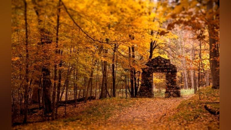 'MDH hududidagi eng yaxshi shaharlar reytingi e`lon qilindi'ning rasmi