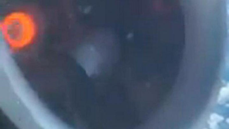 Изрображение 'Двигатель самолета начал разрушаться во время полета над США (видео)'