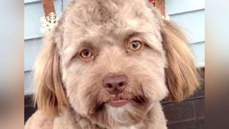 Gig porno bbw porno film