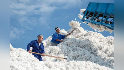 Изрображение 'ЦЕНА ЗА 1 КГ СОБРАННОГО ВРУЧНУЮ ХЛОПКА СНОВА УВЕЛИЧИЛАСЬ'