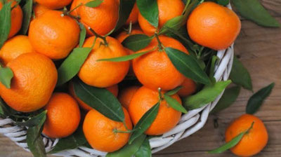 'Мандарин бронхиал астмадан халос этади'ning rasmi