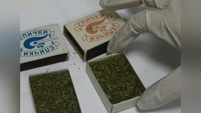 '40 ТА ГУГУРТ ҚУТИСИГА СОЛИНГАН МАРИХУАНА 'ning rasmi