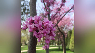 '5 апрель куни кутилаётган об-ҳаво маълумоти'ning rasmi