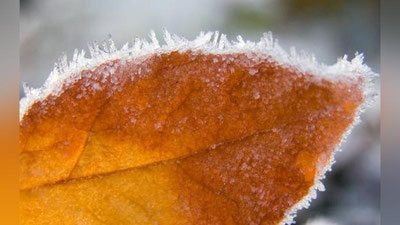 '​4 OKTYaBR KUNI O`ZBEKISTONDA QANDAY OB-HAVO KUZATILADI?'ning rasmi