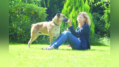 'Styuardessa  sadoqatli itni boqib oldi'ning rasmi