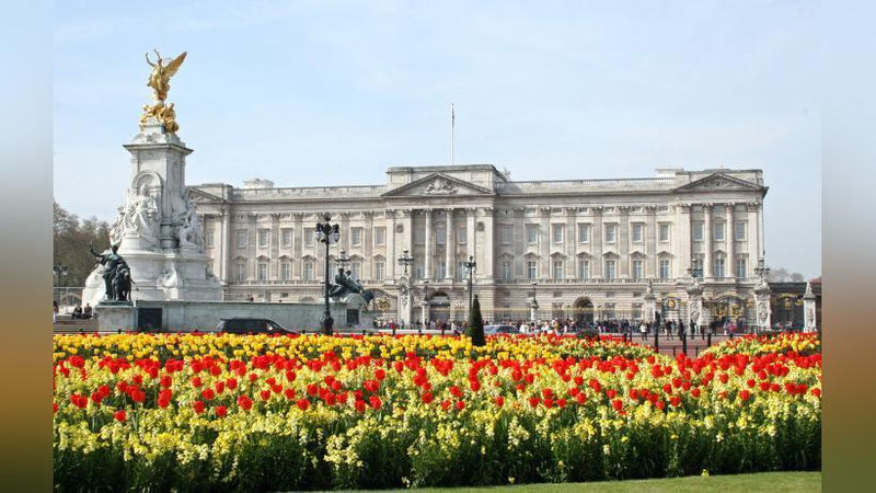 'Ана холос!'ning rasmi