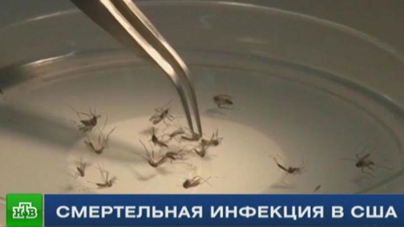 'AQShda hayot uchun xavfli bo`lgan infeksiya topildi'ning rasmi