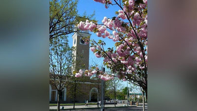 '​18 апрель куни Республика бўйлаб қандай об-ҳаво кузатилади?'ning rasmi