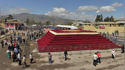 'Ekvadorda yarim millionta atirgullardan piramida yasaldi (Video)'ning rasmi
