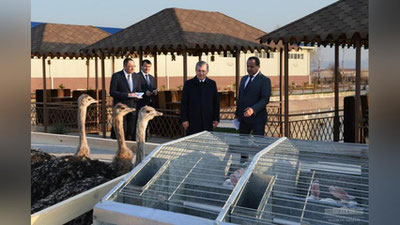 Изрображение 'ВИДЕО: ПЕРВЫЙ ДЕНЬ ПОЕЗДКИ ГЛАВЫ ГОСУДАРСТВА В НАВОИ'