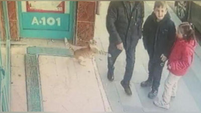 'Turkiyada erkaklarga tashlanadigan mushuk mashhur bo`lib ketdi 'ning rasmi