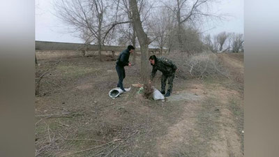 'Jizzaxda 42 tup qayrag`och kesib ketildi'ning rasmi