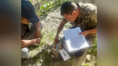 'Samarqandda bog`chadagi terakni kesib tashlagan fuqaro qariyb 10 million so`m jarimaga tortildi'ning rasmi