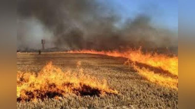 'Surxondaryoda g`alla maydoni yonib ketdi'ning rasmi