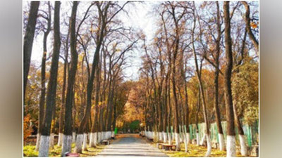 'O`zbekistonda bugun kutilayotgan ob-havo ma`lumoti e`lon qilindi'ning rasmi