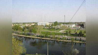 '"Yo`qolsin kalamushlar". Bo`kadagi mehribonlik uyidagi vaziyatga oydinlik kiritildi'ning rasmi