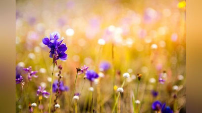 'Bugun ob-havo qanday bo`ladi?'ning rasmi