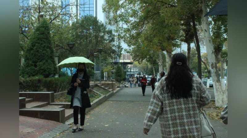 'Bugun ba`zi joylarda yomg`ir yog`ishi mumkin - "O`zgidromet"'ning rasmi