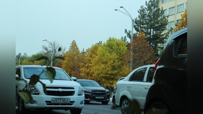 'Ўзбекистонда “Автомобиль тарихи” маълумотларини аниқлаш хизмати йўлга қўйилади   'ning rasmi