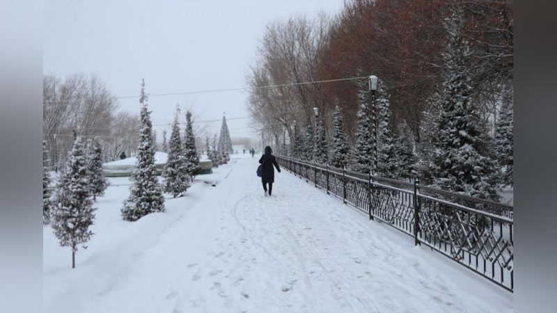 '"Ўзгидромет" бугун қайси ҳудудларда қор ёғиши кутилаётганини маълум қилди'ning rasmi
