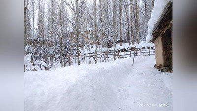 'Қашқадарёнинг барча тоғли ҳудудларида қор ёғмоқда (фото)'ning rasmi