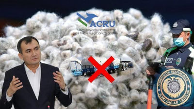 'Qashqadaryo hududidan chigitni olib chiqishga taqiq qo`yilganmi?'ning rasmi