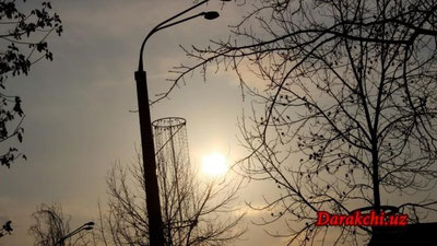 'Бугун Ўзбекистонда ҳарорат 30 даражага кўтарилади'ning rasmi