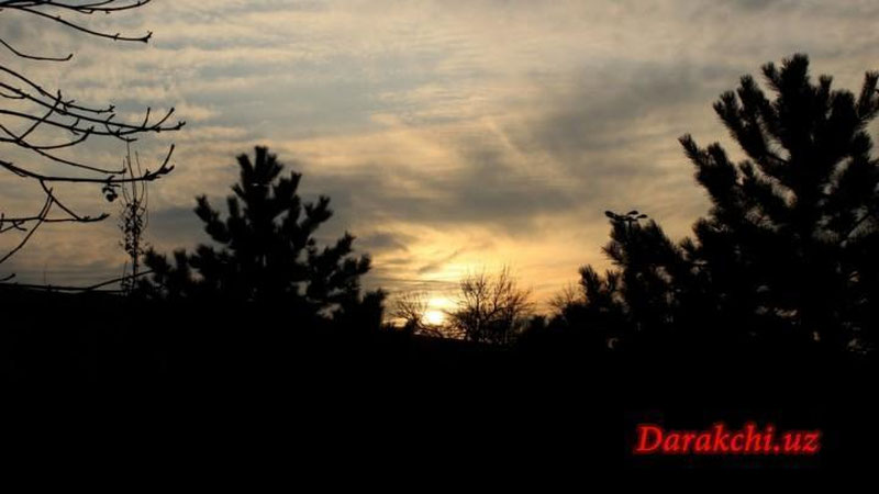 'Бугун Ўзбекистонда ҳаво ҳарорати 29° атрофида бўлади 'ning rasmi