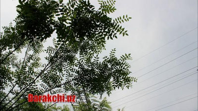 'Бугун Ўзбекистонда булутли об-ҳаво бўлади'ning rasmi