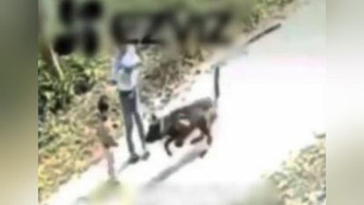 'Нукусда қутурган итлар болани ғажиб ташлаганлиги айтилаётган хабарга иоҳ берилди'ning rasmi