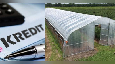 'Карманада кредит маблағларини ўзлаштирган МЧЖ раҳбарлари аниқланди'ning rasmi