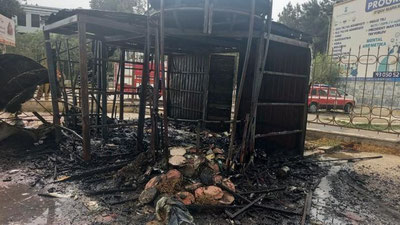 'Namanganda ko`chadagi do`kon yonib ketdi (video)'ning rasmi