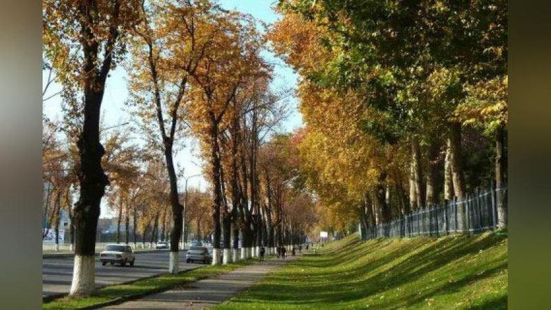 'Bugun harorat 32-34 daraja bo`lishi prognoz qilinmoqda'ning rasmi