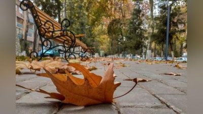 '29 sentyabr kuni Toshkentda havo biroz bulutli bo`ladi...'ning rasmi