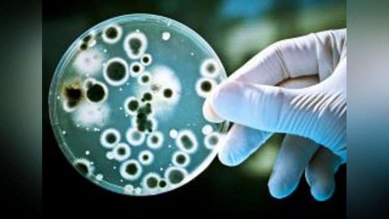 'JSST dunyoda xolera vabosi keng tarqalishidan xavotirda'ning rasmi
