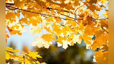 '"O`zgidromet" 14 oktyabr kuni kuzatiladigan ob-havo ma`lumotlarini e`lon qildi'ning rasmi