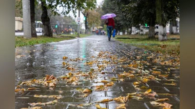 'Bugun O`zbekistonning 6 ta hududida yomg`ir yog`ishi mumkin'ning rasmi