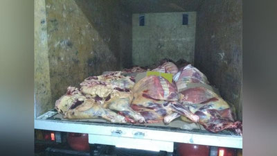 'Jizzaxda 1,2 tonna noma`lum hayvon go`shtini Toshkentga sotish uchun olib kelayotgan shaxs ushlandi'ning rasmi