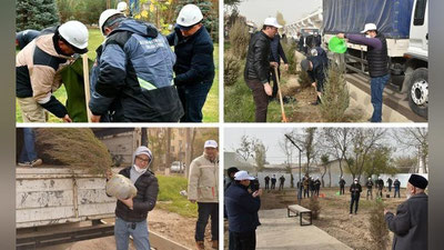 '“O`zbekneftgaz”: “Yashil makon” umummilliy loyihasi doirasida joriy mavsumda 20 ming tup daraxt va buta ko`chatlari ekildi'ning rasmi