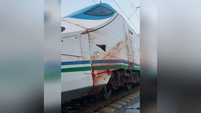 '"Afrosiyob" poezdi 18 bosh qo`yni urib yubordi'ning rasmi