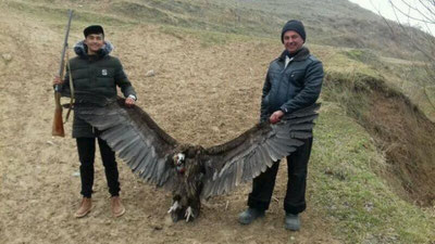 'Andijonda ovlanishi takiqlangan qush o`ldirildi'ning rasmi