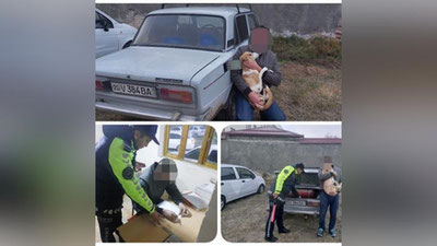 '"Sirdaryoda "Jiguli" haydovchisi itini o`ldirib, kallasini mashinaga yopishtirib, aylanib yuribdi"'ning rasmi