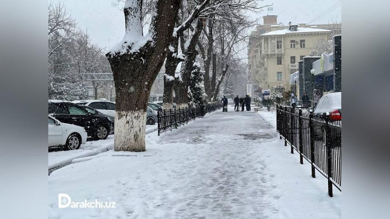 'Bugun O`zbekistonda havo harorati 9 darajagacha sovuq bo`ladi'ning rasmi