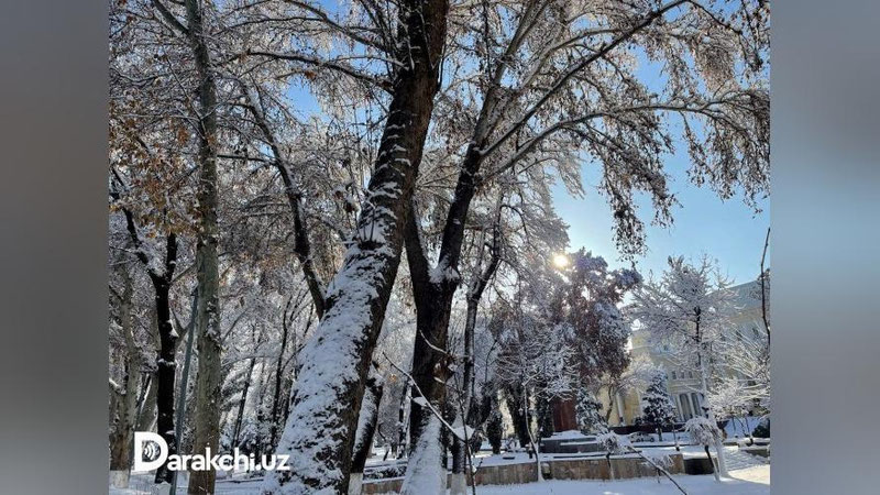'Bugundan qayta boshlangan sovuq havo harorati 26 yanvarga qadar saqlanib turadi'ning rasmi