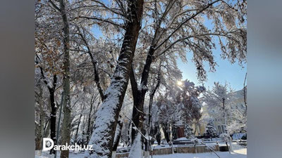 'Bugundan qayta boshlangan sovuq havo harorati 26 yanvarga qadar saqlanib turadi'ning rasmi