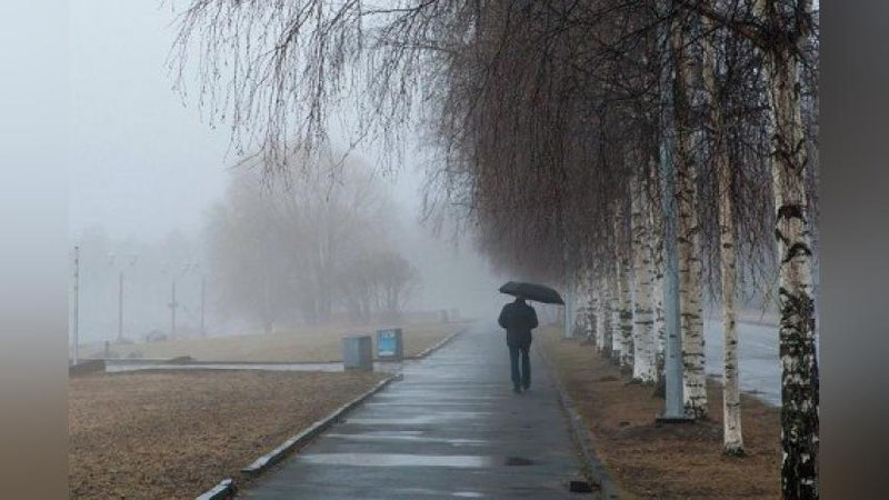 'Bugun tumanli ob-havo bo`lishi kutilmoqda'ning rasmi