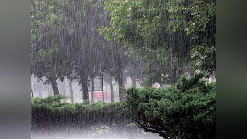 'Bugun respublika bo`ylab yomg`ir yog`adi - "O`zgidromet"'ning rasmi