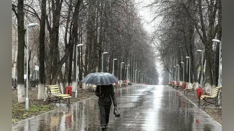 'Bugun harorat 24 darajagacha ko`tarilishi va ayrim joylarda yomg`ir yog`ishi prognoz qilindi'ning rasmi