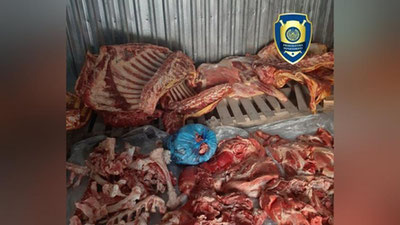 'Gulistonda 250 kg iste`molga yaroqsiz go`sht mahsulotlarining muomalaga kiritilishining oldi olindi'ning rasmi